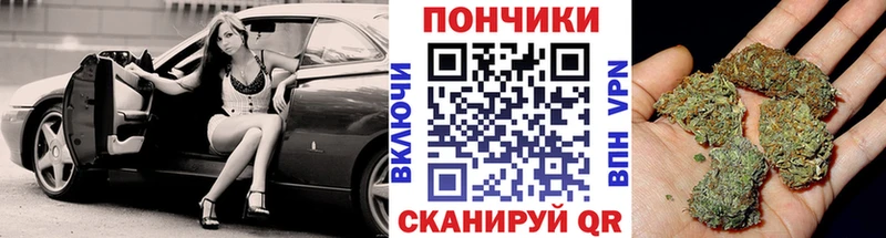 наркотики  Берёзовка  Бошки Шишки конопля 